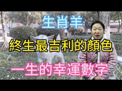 屬羊幸運數字|屬羊人永久最幸運數字，最幸運顏色，建議用上有好運